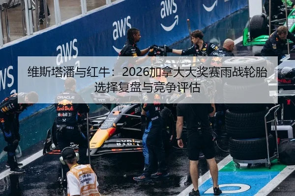 wei-si-ta-pan-yu-hong-niu-jia-na-da-da-jiang-sai-yu-zhan-lun-tai-xuan-ze-fu-pan-yu-jing-zheng-ping-gu-2-705.jpg